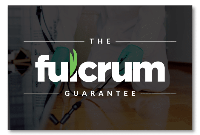 Fulcrum Pest Control El Paso Pest Control Services Local Exterminators